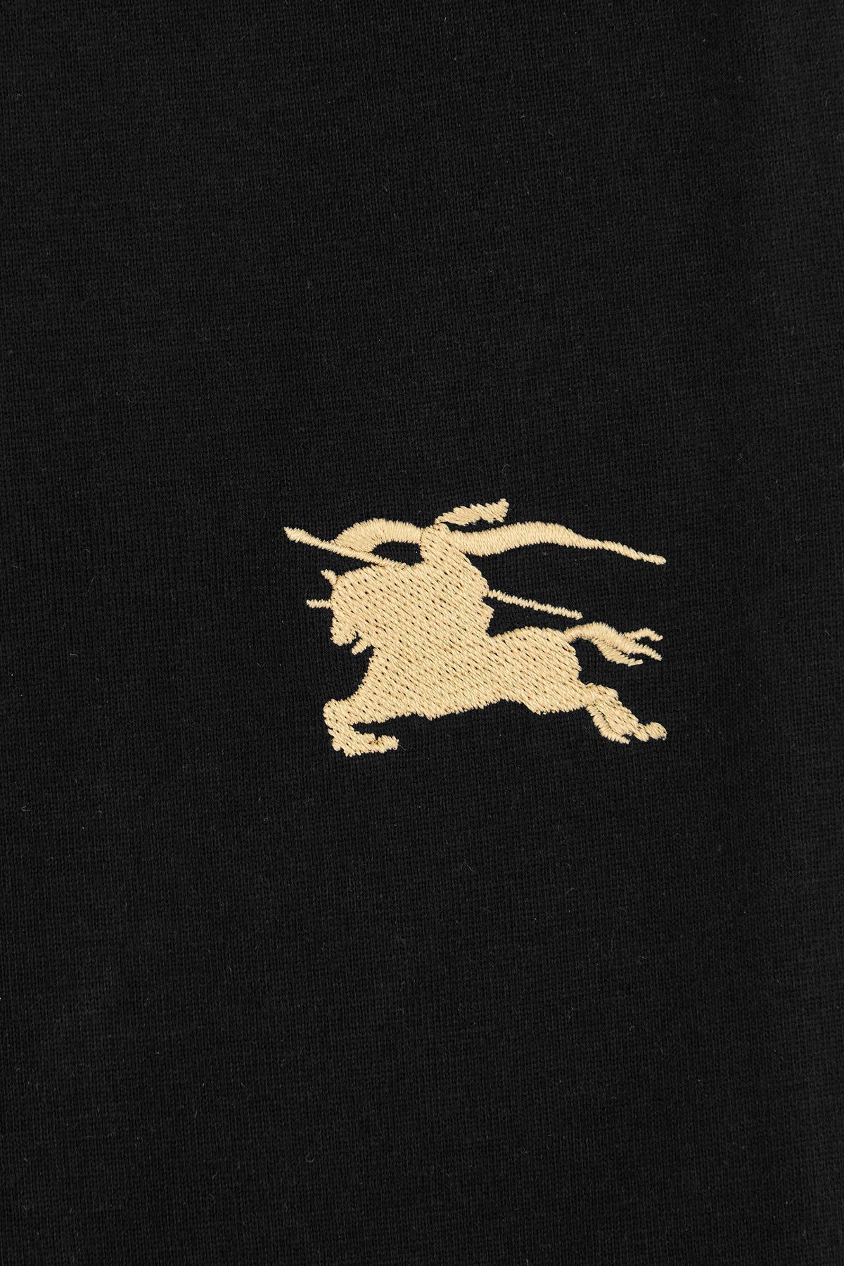 Burberry Man Clothing T-Shirt